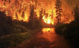 کیلی فورنیا کے جنگلات میں لگی آگ تا حال بے قابو