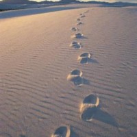 desert foot prints