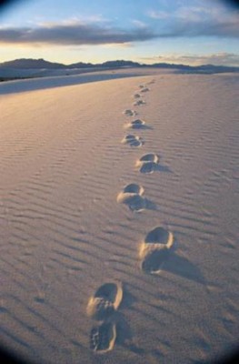 desert foot prints