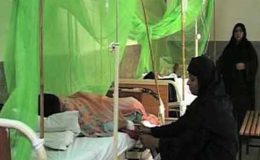 پنجاب میں ڈینگی پھر سر اٹھانے لگا، مریضوں کی تعداد 66 تک پہنچ گئی