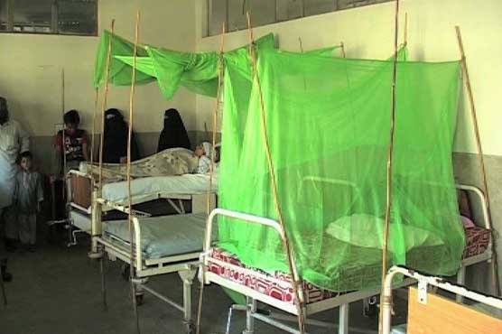 کراچی: مزید 3 افراد میں ڈینگی وائرس کی تصدیق، متاثرین کی تعداد 180 ہو گئی