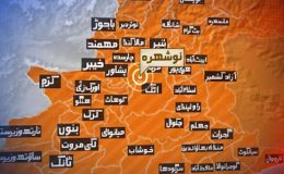 نوشہرہ : اے این پی کے رہنما علی باچا قتل، بیٹا زخمی