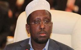 صومالی پارلیمنٹ نے حسن شیخ محمد کو نیا صدر منتخب کر لیا