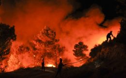 اسپین کے جنگلات میں آتشزدگی ، ہزاروں افراد متاثر