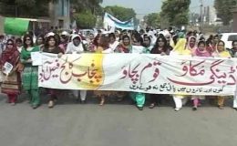 انسداد ڈینگی مہم ، پنجاب کے مختلف شہروں میں ریلیاں ، واک
