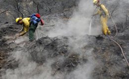 لاس اینجلس کے جنگلات میں لگی آگ قریبی آبادی کیلئے خطرہ بن گئی