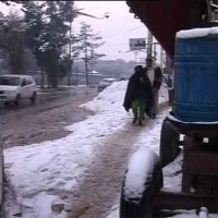 Kashmir Cold