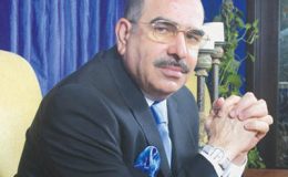 ملک ریاض کیس، قاضی محمد جمیل وکیل استغاثہ مقرر