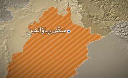 منڈی بہاالدین میں دیرینہ دشمنی پر باپ بیٹوں سمیت 5 افراد قتل