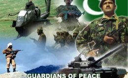 موجودہ حالات میں ملک کا تنہا دفاع نہیں کرسکتے: پاک فوج