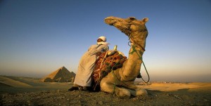 travel camel 