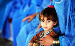 افغان مہاجرین کی وطن واپسی میں مزید 6 ماہ کی توسیع