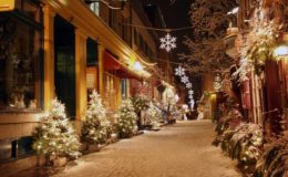 کینیڈا میں کرسمس کی تیاریاں جاری ، ٹری روشن کر دیئے گئے