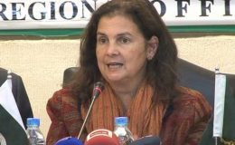 لاہور : امریکا پاکستانی معیشت کی بہتری کے لئے مدد فراہم کر رہا ہے، نینا ماریا فائٹ
