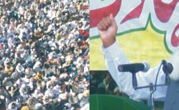 پیر محمد افضل قادری (شہادت امام حسین علیہ السلام کانفرنس سے خطاب کر رہے ہیں اس موقع پر لی گئی تصویری جھلکیاں