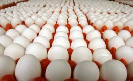 اسلام آباد : انڈوں کی فی درجن قیمت میں 14 روپے اضافہ ریکارڈ
