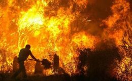 آسٹریلیا ،جنگل کی آگ چھٹے روز بھی بے قابو،سات افراد زخمی