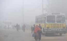 بھارت میں سرد ترین موسم، نظام زندگی مفلوج