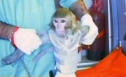 ایران کا بندر کو خلا میں بھیجنے کا دعوی