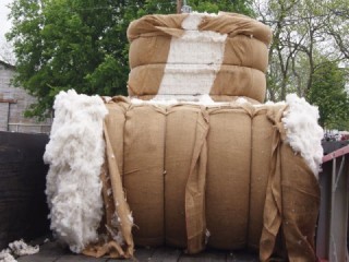 Pakistan Cotton