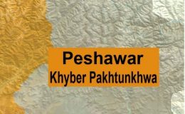 پشاور : بڈھ بیر میں فائرنگ سے 4 افراد قتل
