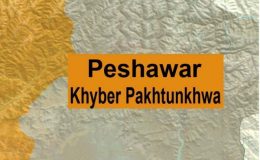 پشاور : اسکول میں آگ لگنے کے باعث 14 بچے زخمی