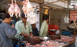 زندہ مرغی اور اس کے گوشت کی قیمت بڑھ گئی