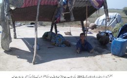 ڈیرہ اللہ یار بلوچستان میں 2012 کی سیلاب سے متاثرین تاحال امداد کی منتظر ہیں۔فوٹو آس لانگو