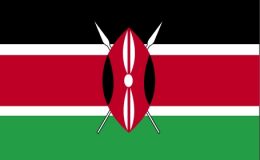 کینیا : بس حادثے میں 35 افراد ہلاک، 50 زخمی ہوگئے