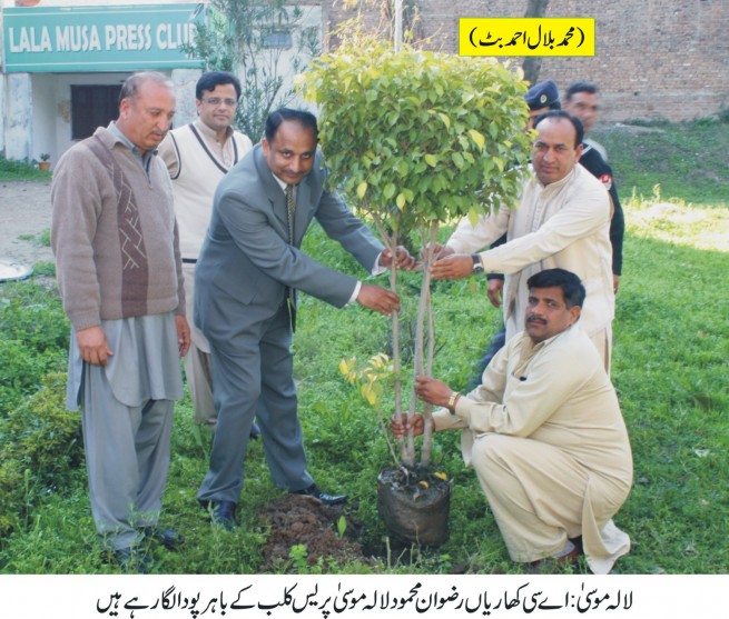 LalaMusa Rizwan Mehmood Plant