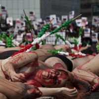 Mexico Protest Bullfighting
