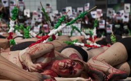 میکسیکو : بل فائٹنگ کیخلاف سڑکوں پر لیٹ کر احتجاج