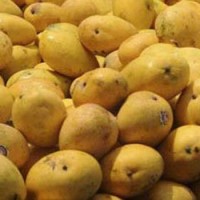Pakistan Fruit Export Orders Faound