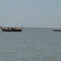 Pakistani Fishermen