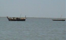بھارتی سمندری حدود میں داخل ہونے والے30 پاکستانی ماہی گیر گرفتار