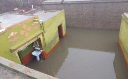 بوچھال کلاں : علاقہ ونہار میں طوفانی بارشوں نے تباہی مچا دی