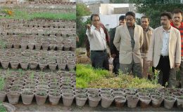 شاہ فیصل ٹاؤن کی تمام یونین کونسل میں گرین ہائوس کی تعمیر انواع اقسام کے پھول اور پودے کی آبیاری کے حوالے سے عملی اقدامات کا آغاز