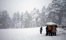 منالی میں برفباری، سیاح اور علاقہ مکین مبہوت