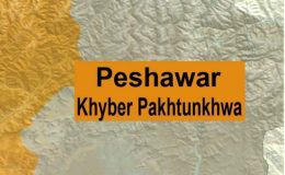 پشاور : لیڈی ریڈنگ اسپتال میں آ گ بھڑک اٹھی، خاتون زخمی