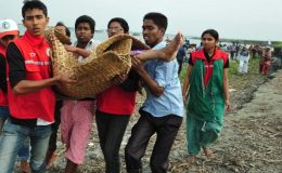 بنگلہ دیش : قذاقوں نے 16 ماہی گیروں کو قتل کر دیا