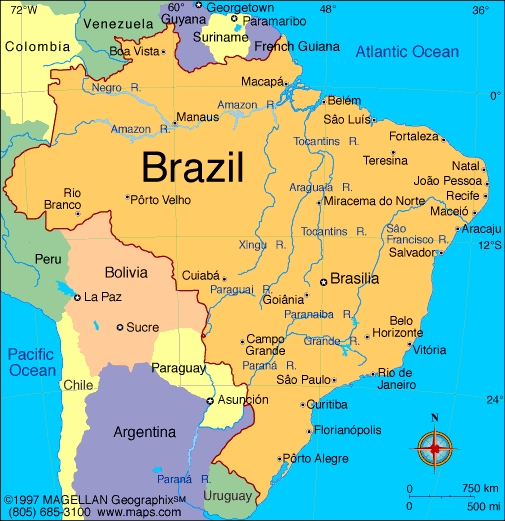 برازیل میں بس پل سے نیچے جاگری، 7 افراد ہلاک