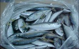 پاکستان سمندری خوراک کا پہلا آرڈر یکم مئی کو بھیجے گا
