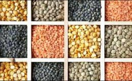 غذائی اشیا کی قیمتوں میں سب سے زیادہ اضافہ نواب شاہ میں ریکارڈ