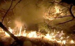 اسلام آباد : مارگلہ پہاڑیوں میں لگنے والی آگ پر قابو نہ پایا جا سکا