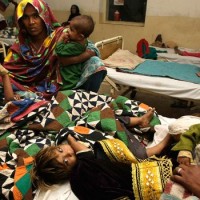 Lahore Measles Died
