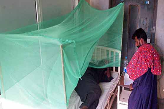 پنجاب میں ڈینگی پھر سر اٹھانے لگا، دو افراد میں وائرس کی تصدیق