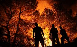 امریکی ریاست کیلیفورنیا کے جنگل میں آگ لگ گئی