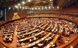 قومی اسمبلی : خواتین کی مخصوص نشستیں ، ن لیگ کو 24 سیٹیں ملیں گی