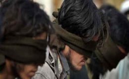 پشاور : پولیس کا چھاپہ ، 5 دہشت گرد گرفتار