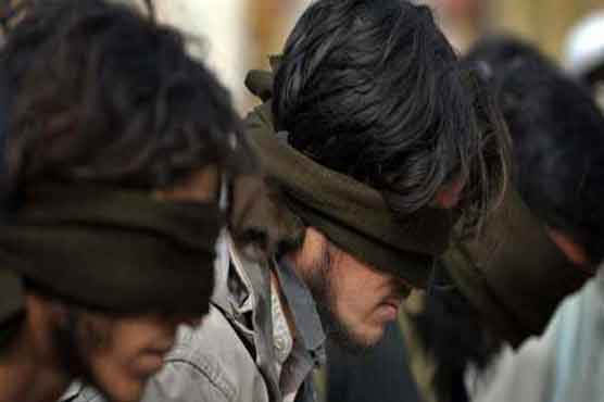 پشاور : پولیس کا چھاپہ ، 5 دہشت گرد گرفتار